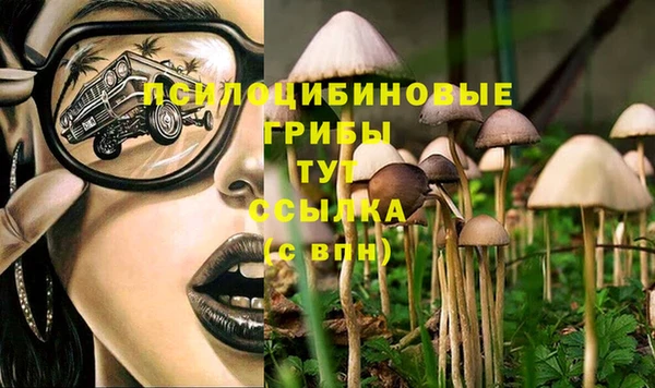 PSILOCYBIN Балабаново