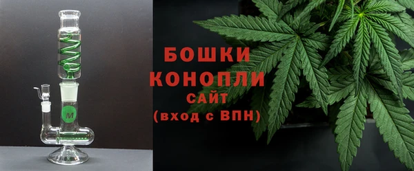 шишки Баксан