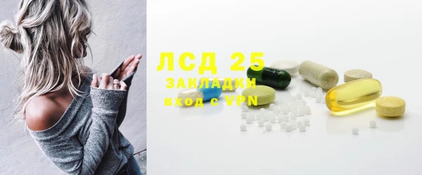 шишки Баксан