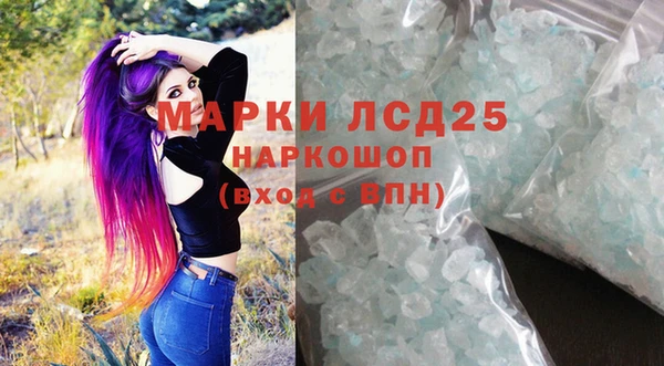шишки Баксан