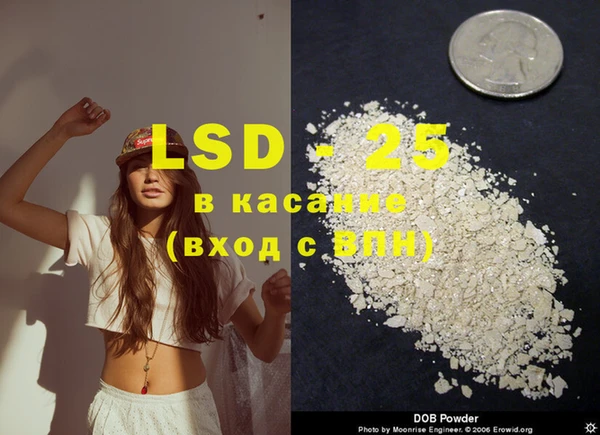 шишки Баксан