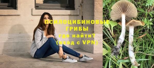 соль курить ск Балахна
