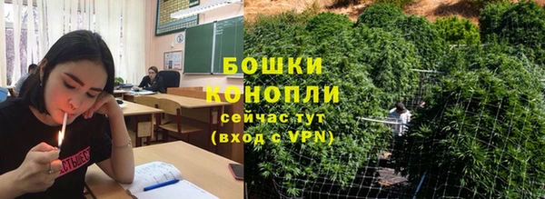 PSILOCYBIN Балабаново