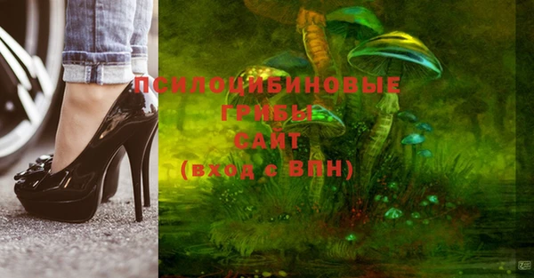 PSILOCYBIN Балабаново
