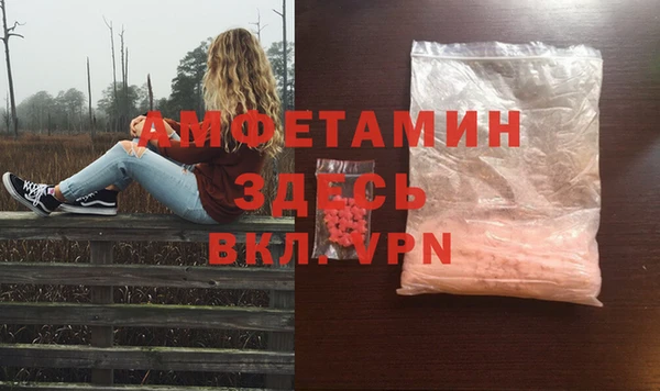 шишки Баксан