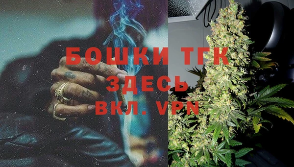 PSILOCYBIN Балабаново
