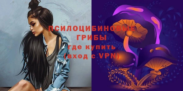 PSILOCYBIN Балабаново